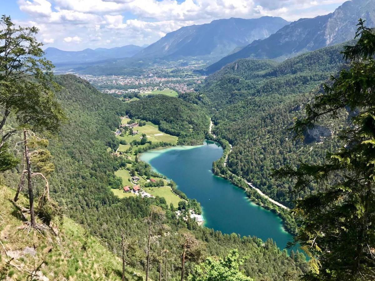Ferienwohnung Gartenglueck Traunstein Exteriér fotografie