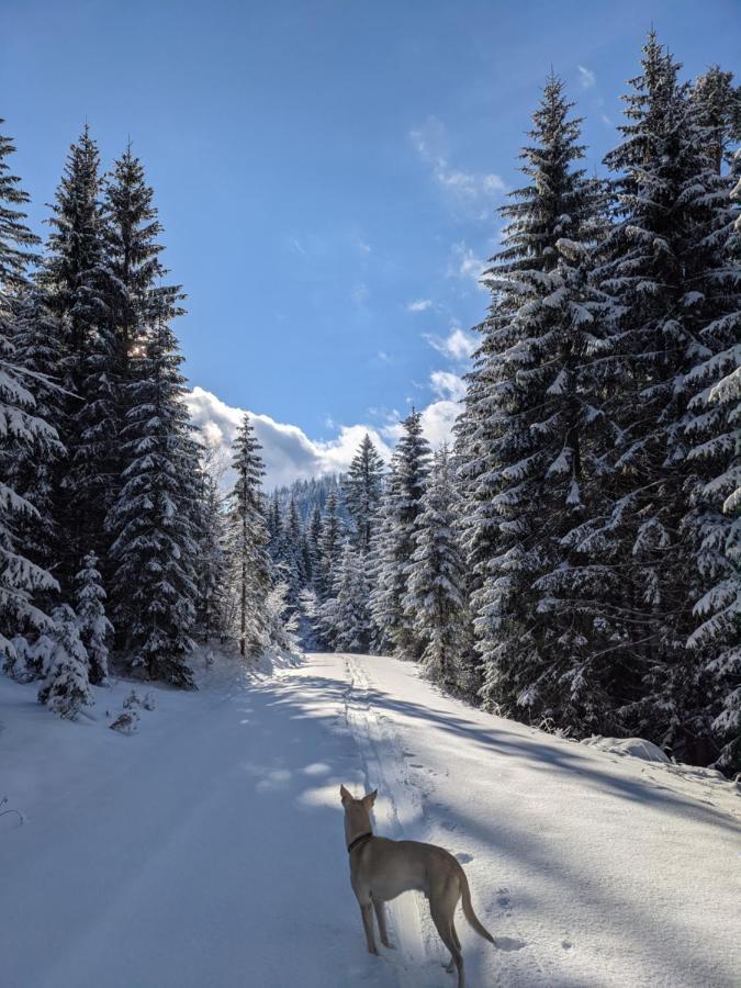 Ferienwohnung Gartenglueck Traunstein Exteriér fotografie