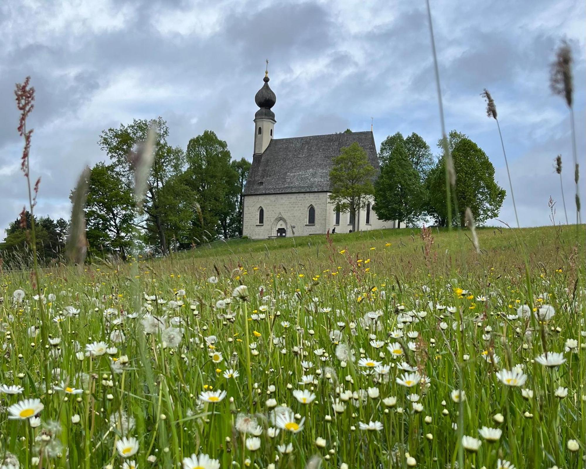 Ferienwohnung Gartenglueck Traunstein Exteriér fotografie