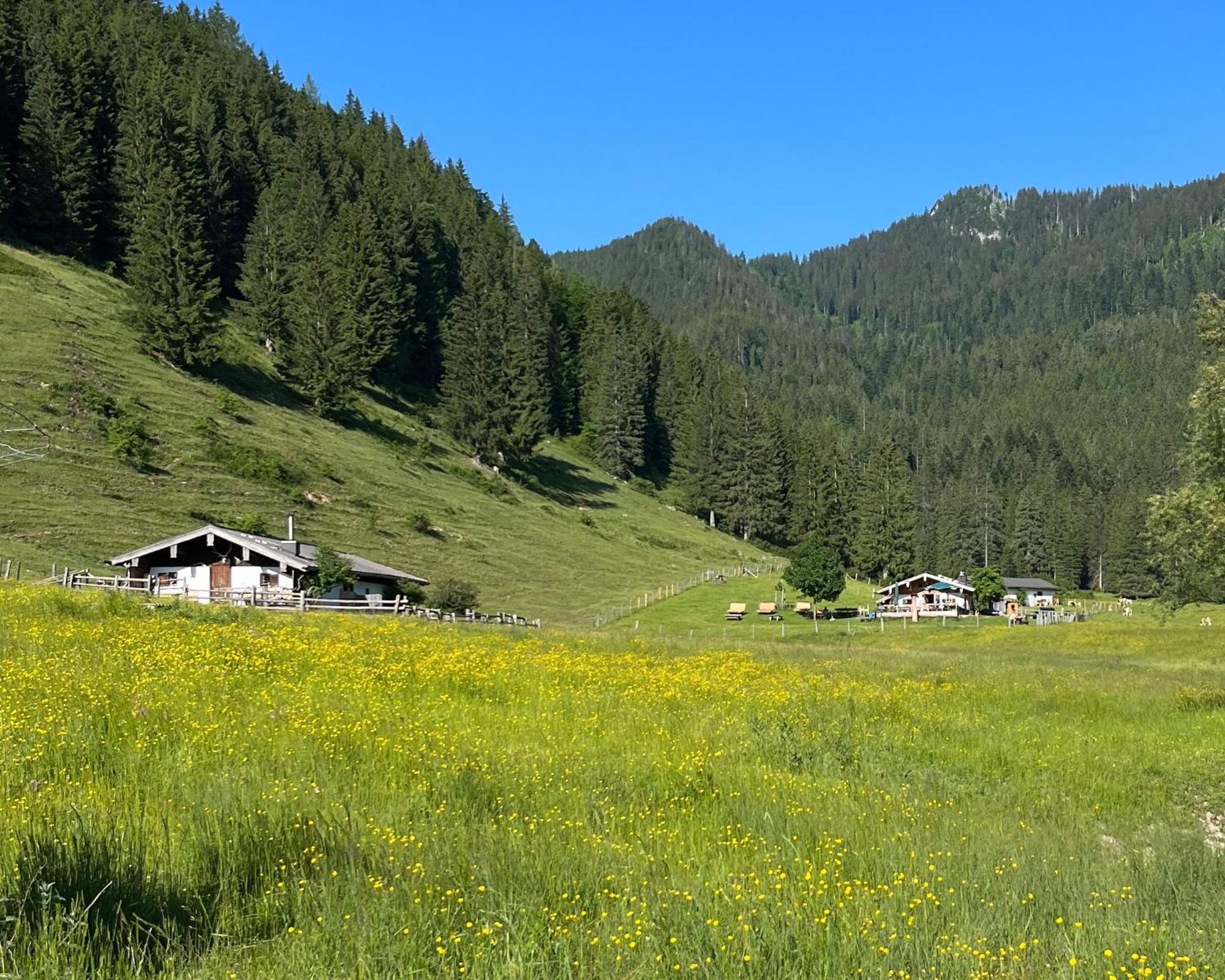 Ferienwohnung Gartenglueck Traunstein Exteriér fotografie